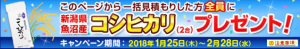 保険スクエアbangキャンペーン